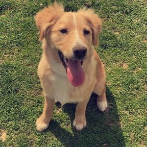 Meet your Posher, Erynne